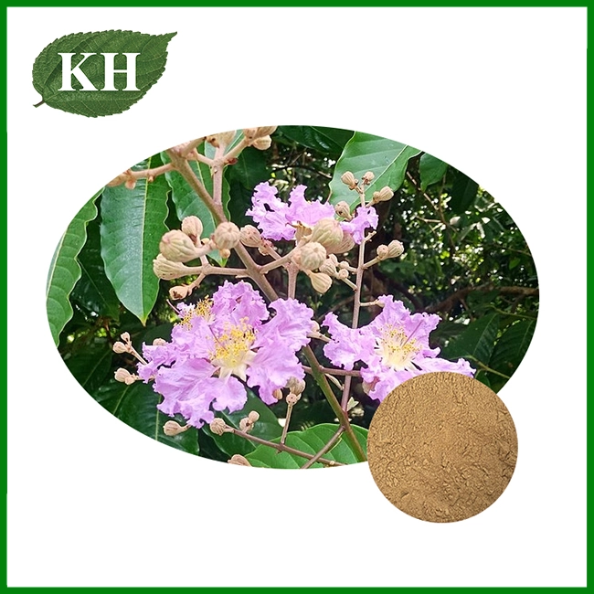 Banaba Leaf Extract Powder Banaba Leaf Extract Powder